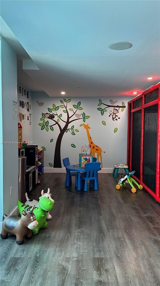 recreation room featuring hardwood / wood-style flooring