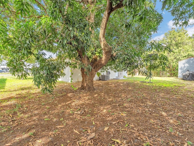 view of yard featuring cooling unit