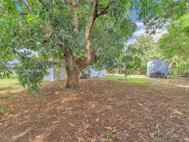 view of yard featuring a storage shed