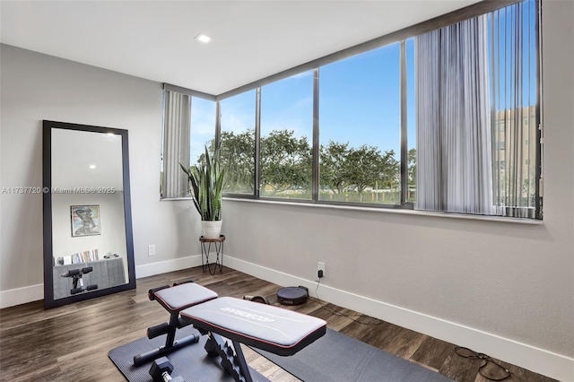 workout room featuring hardwood / wood-style floors