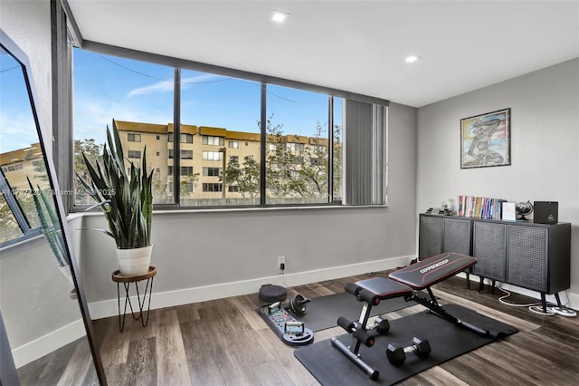 exercise room with hardwood / wood-style flooring