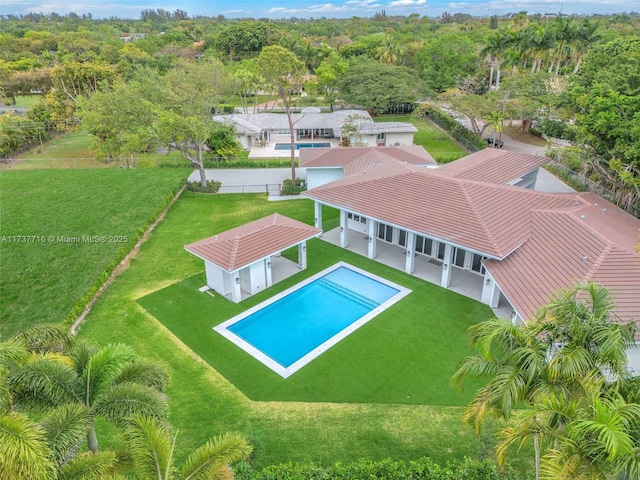 view of swimming pool featuring a storage shed, a patio area, and a lawn