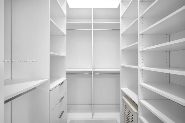 view of walk in closet