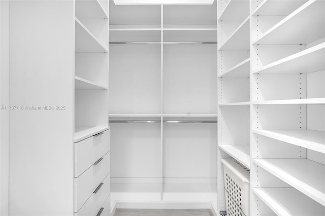 view of walk in closet