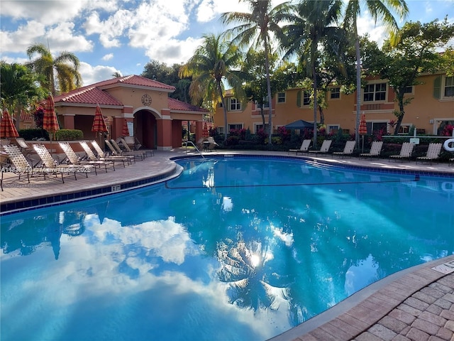 view of swimming pool with a patio area