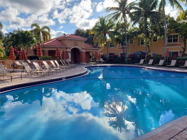 view of pool with a patio