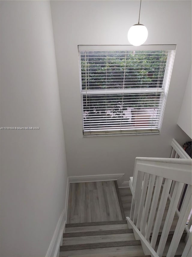 stairway featuring wood-type flooring