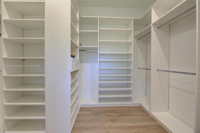 spacious closet featuring light wood-type flooring