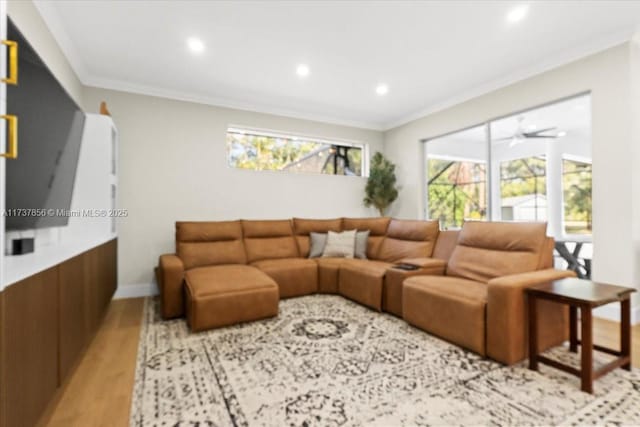 living room with crown molding, ceiling fan, and light wood-type flooring