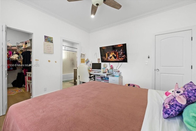 bedroom with ensuite bathroom, ornamental molding, a walk in closet, ceiling fan, and a closet