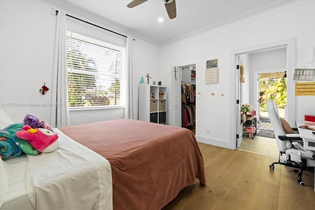 bedroom with crown molding, a walk in closet, ceiling fan, and light hardwood / wood-style floors