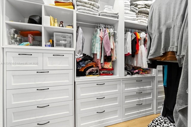 view of closet