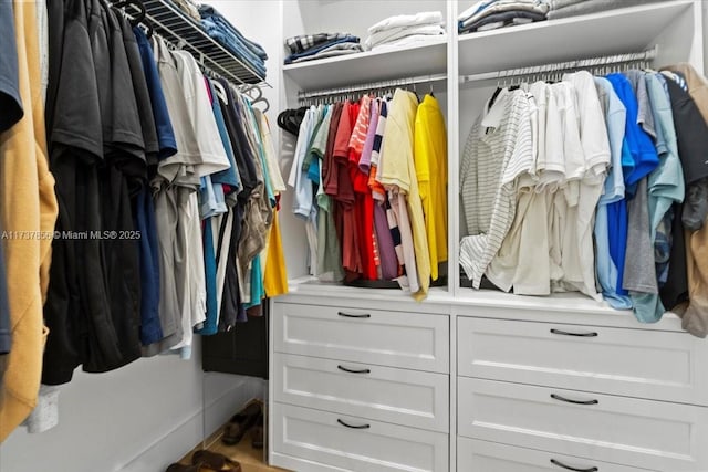 view of spacious closet