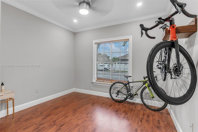 interior space featuring crown molding, ceiling fan, and hardwood / wood-style flooring