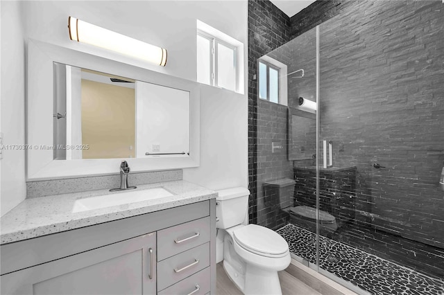 bathroom featuring vanity, a shower stall, and wood finished floors
