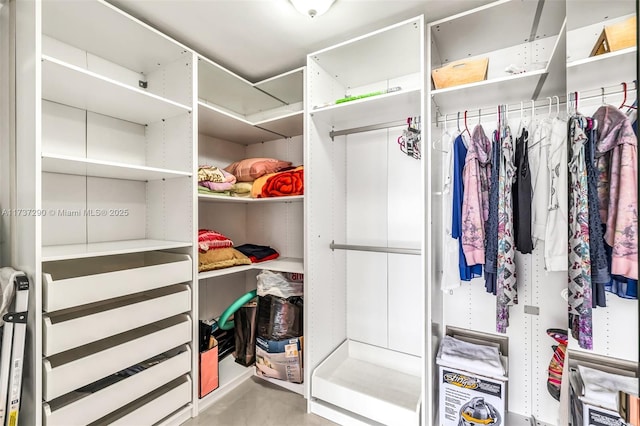 view of spacious closet