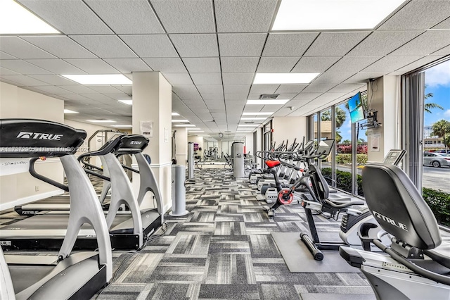 exercise room with floor to ceiling windows, carpet flooring, and a drop ceiling