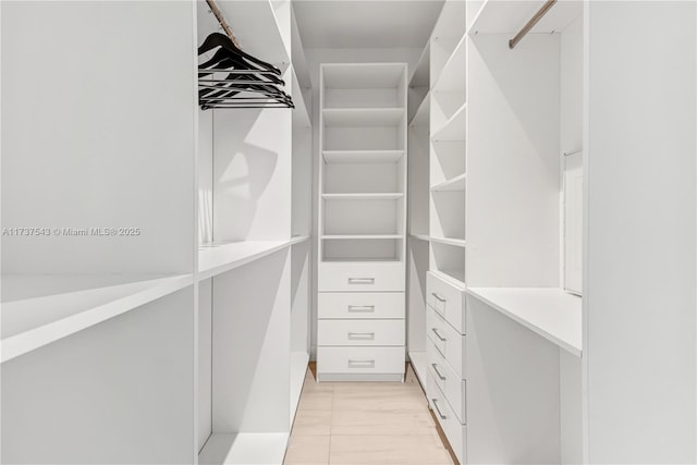 view of walk in closet