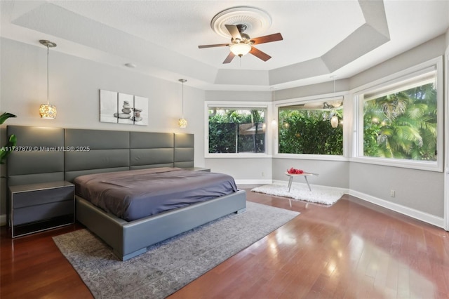 bedroom featuring a raised ceiling, ceiling fan, dark wood-type flooring, and multiple windows