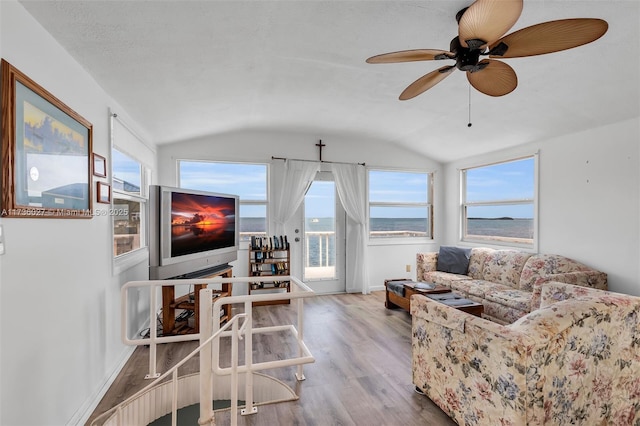 living room with lofted ceiling, a wealth of natural light, and light hardwood / wood-style flooring