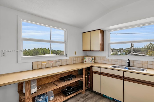 kitchen with lofted ceiling, a wealth of natural light, sink, and backsplash