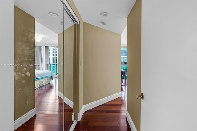 hall featuring dark hardwood / wood-style floors