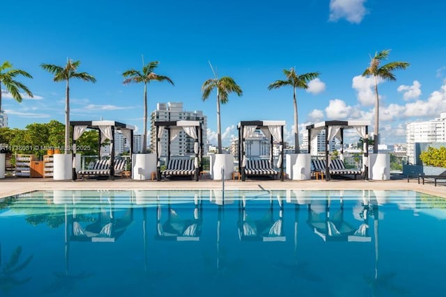 view of swimming pool