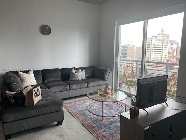 living area featuring carpet and a wood stove