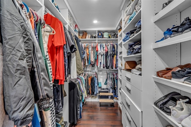 walk in closet featuring wood-type flooring