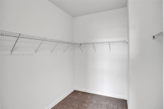 spacious closet featuring dark carpet