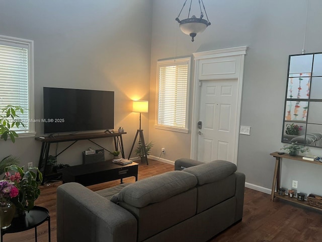 living room featuring dark hardwood / wood-style flooring