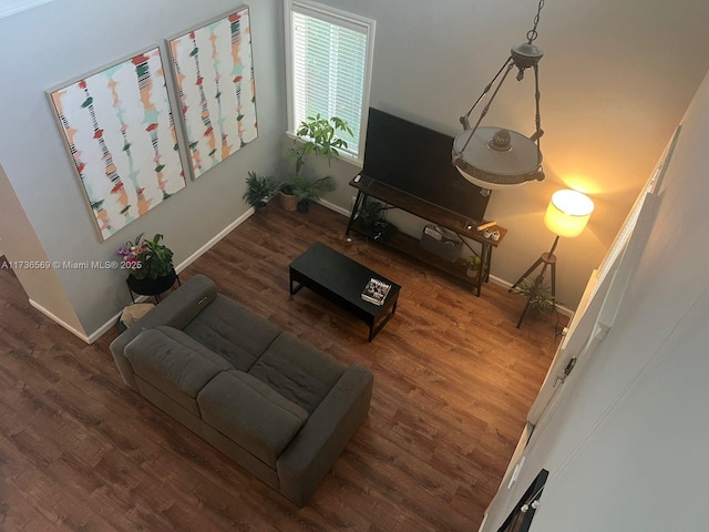 living room featuring dark wood-type flooring