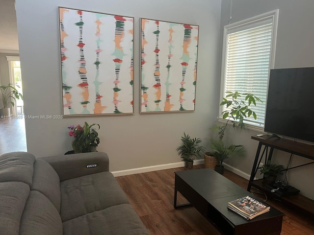 living room with dark wood-type flooring and a wealth of natural light