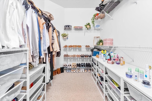 walk in closet with carpet flooring