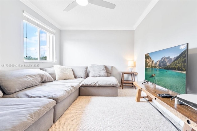 carpeted living room with crown molding and a ceiling fan