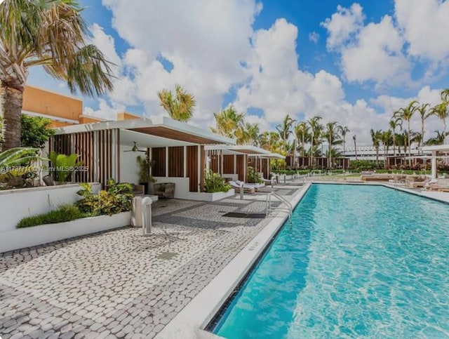 view of swimming pool featuring a patio