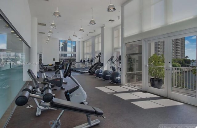 workout area featuring french doors and plenty of natural light