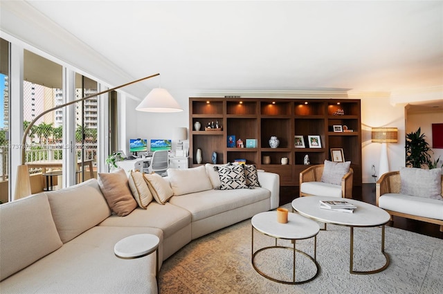 living area featuring ornamental molding