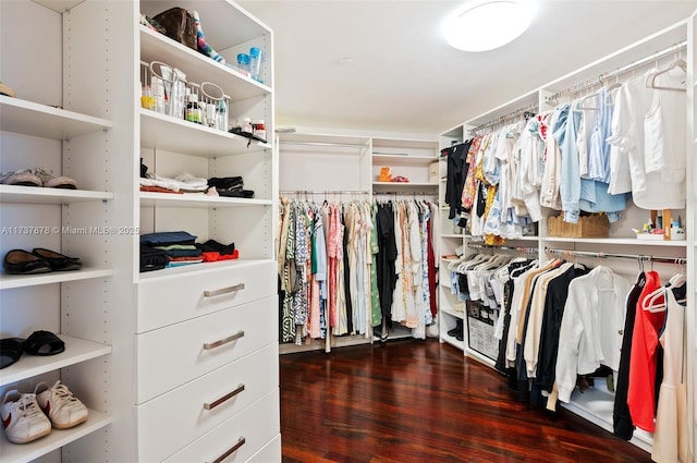 walk in closet with wood finished floors