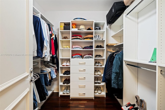 spacious closet featuring dark wood-style flooring