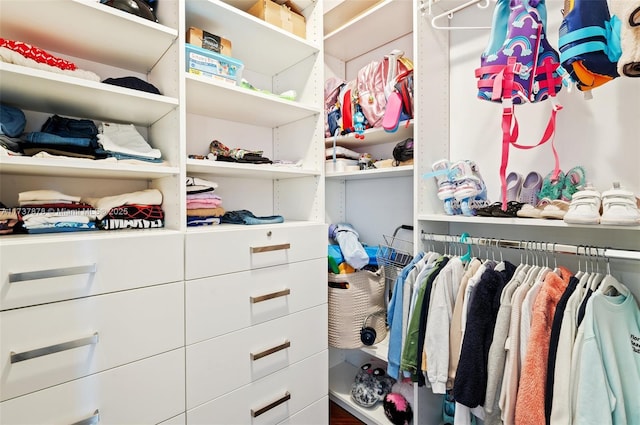 view of spacious closet