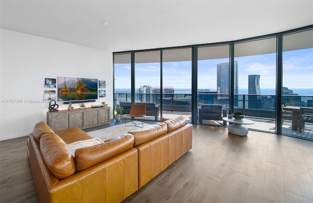 living room featuring hardwood / wood-style floors and floor to ceiling windows