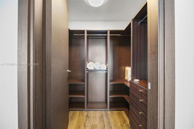 spacious closet with light hardwood / wood-style floors