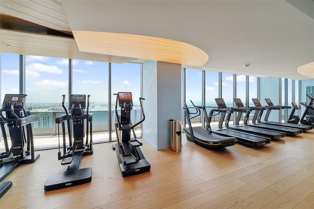 gym with a water view, a wall of windows, and light hardwood / wood-style flooring