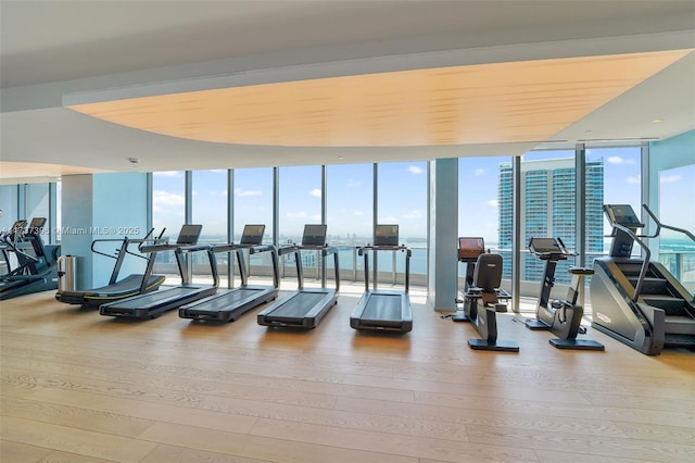 workout area featuring expansive windows and wood-type flooring