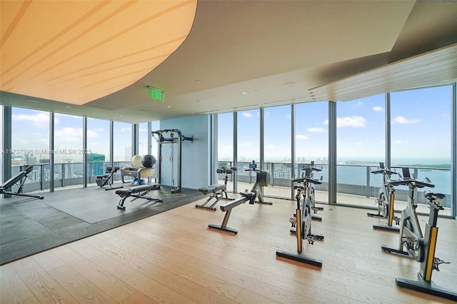 workout area with light hardwood / wood-style flooring, floor to ceiling windows, and a water view