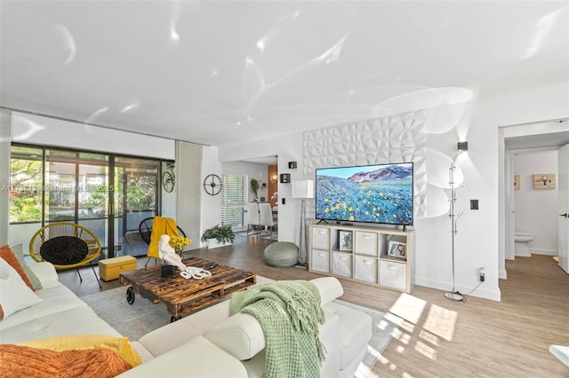 living room featuring light hardwood / wood-style floors