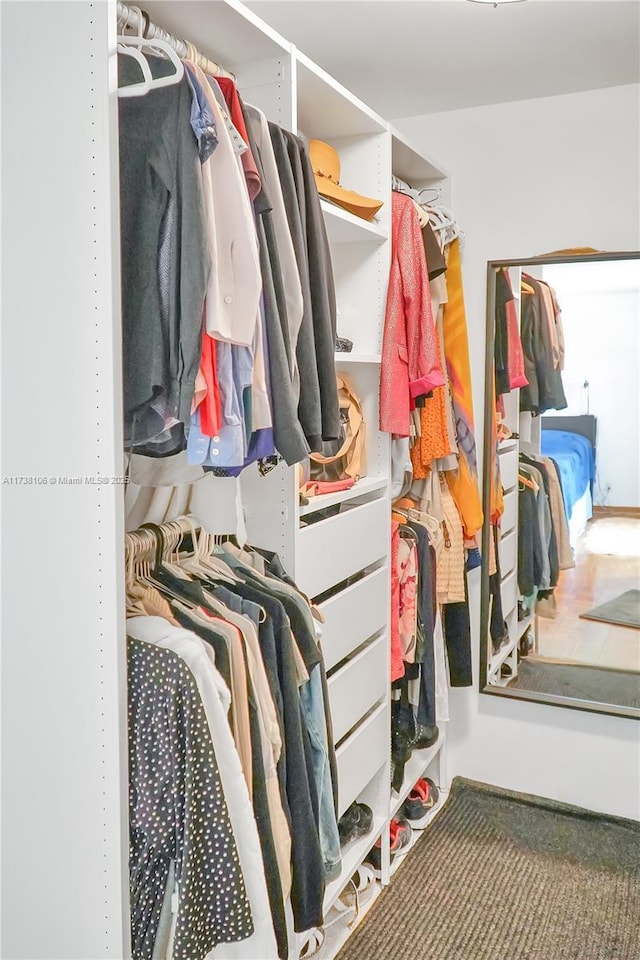 spacious closet with carpet