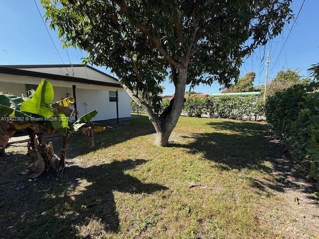 view of yard