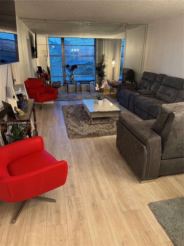 living room with light hardwood / wood-style flooring and a textured ceiling